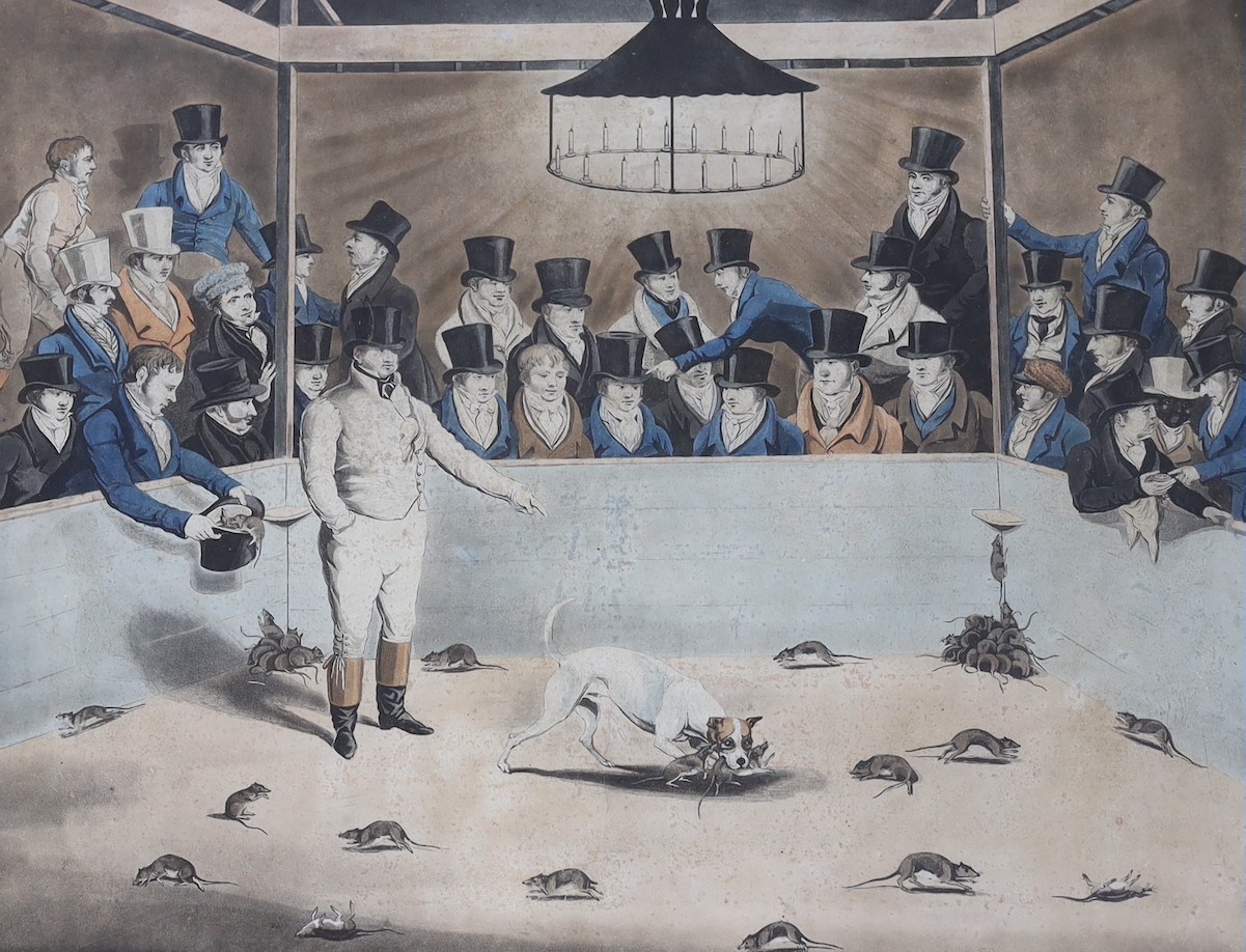 After S Alken, aquatint, ‘Billy’, 40 x 54cm